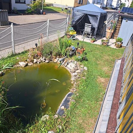 Ferienwohnung Hilgert Sankt Sebastian المظهر الخارجي الصورة